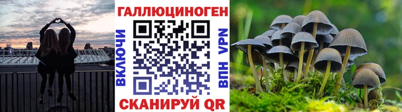 Псилоцибиновые грибы Psilocybe  Первоуральск 